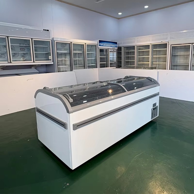 R290 냉매를 사용한 유리 상판형 냉동고, 상업용 냉 - Commercial Chest Freezer 리뷰 및 가격