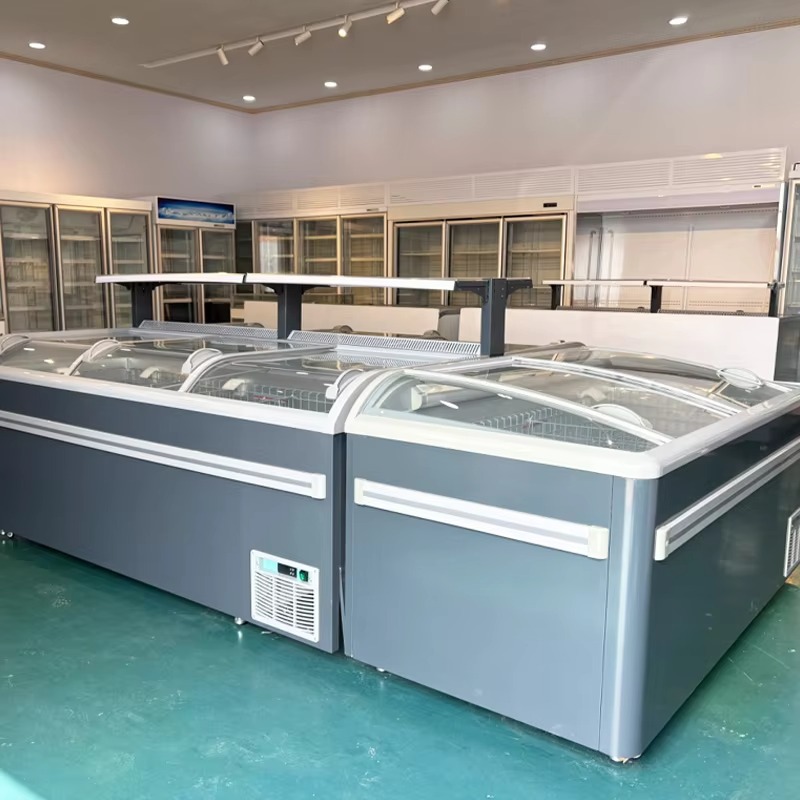 R290 냉매를 사용한 유리 상판형 냉동고, 상업용 냉 - Commercial Chest Freezer 리뷰 및 가격